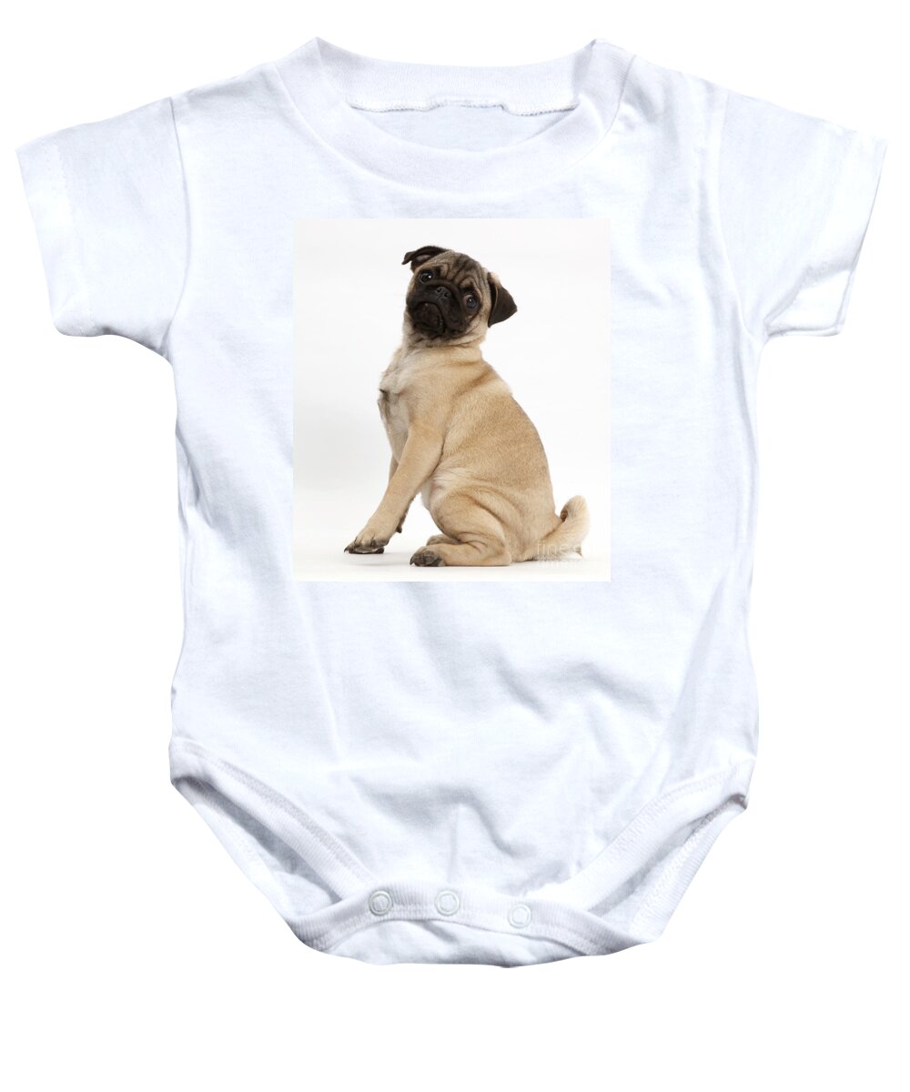 Nature Baby Onesie featuring the photograph Pug Puppy #4 by Mark Taylor