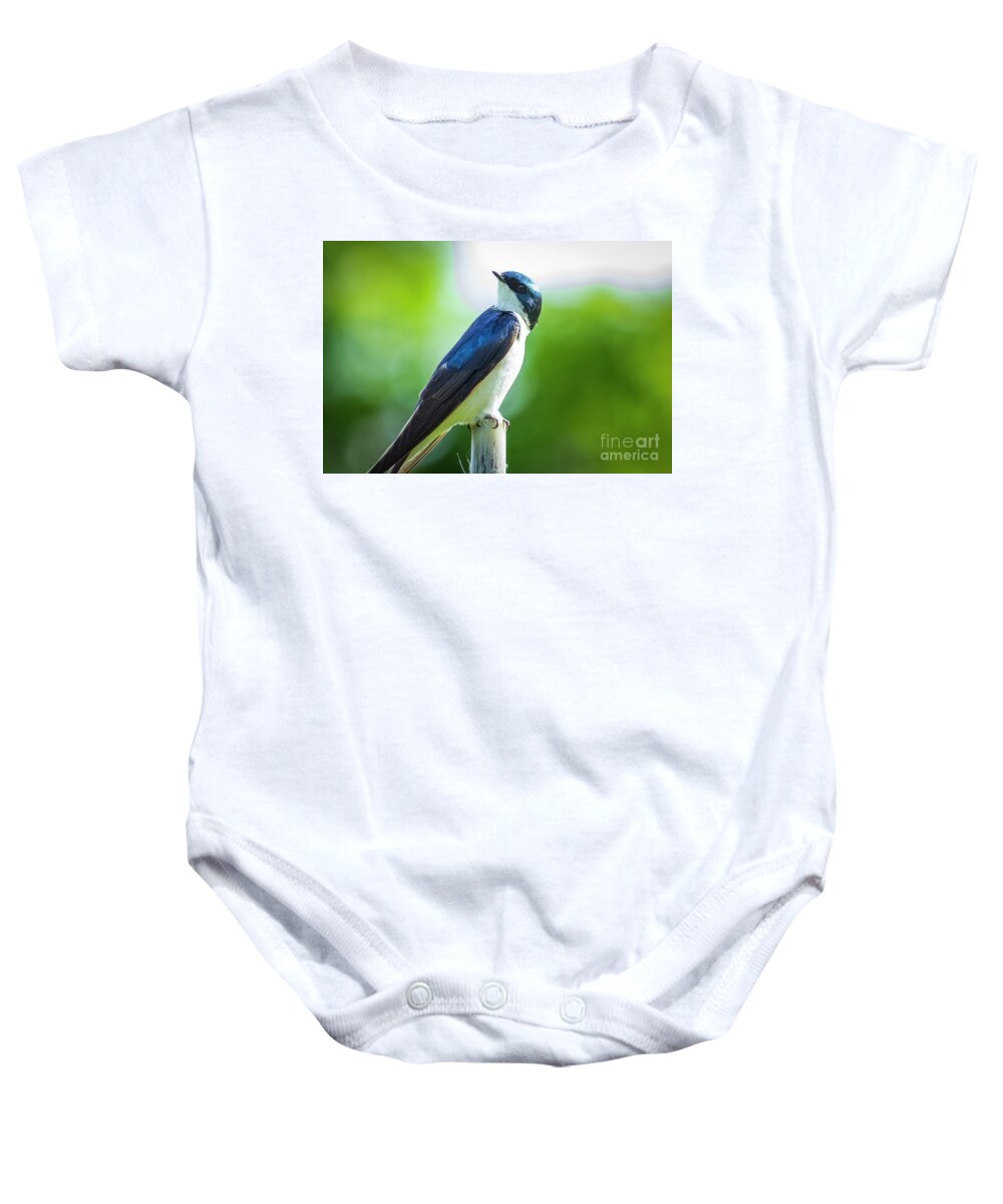 Swallow Baby Onesie featuring the photograph A Better View by Amy Sorvillo