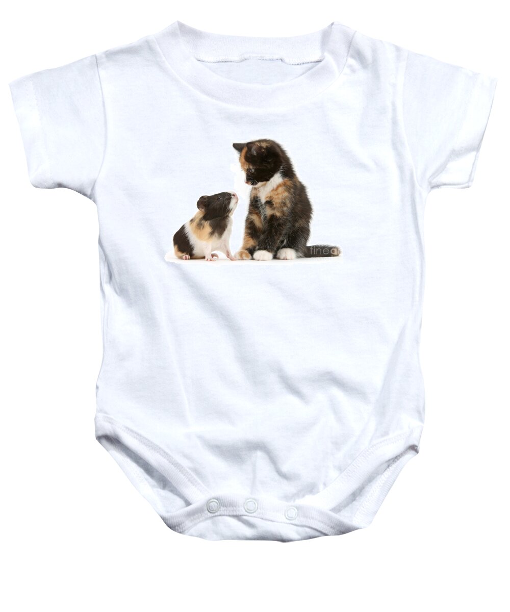 Guinea Pig Baby Onesie featuring the photograph A Guinea for your Thoughts by Warren Photographic