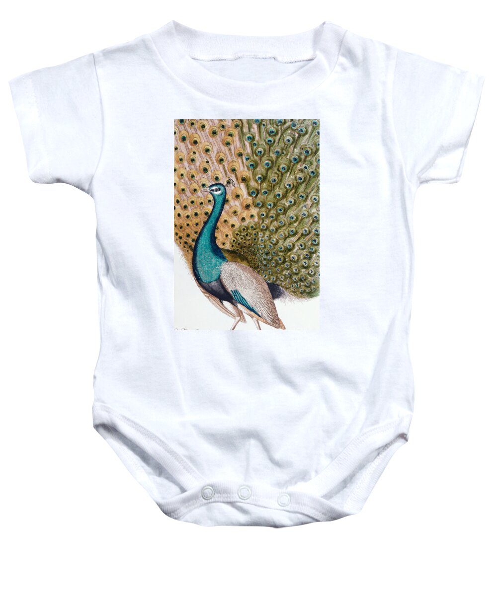 Peacock Baby Onesie featuring the painting A Male Peacock in Full Display, 1763 by Johann Leonhard Frisch