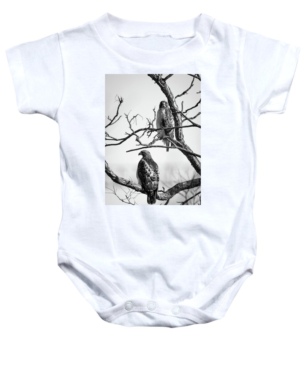 Hawk Baby Onesie featuring the photograph A Pair of Red-tails by Jeff Phillippi
