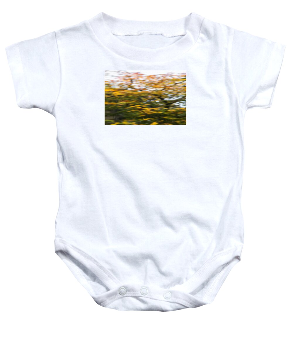Abstract Baby Onesie featuring the photograph Abstract of Maple Tree by Bob Cournoyer