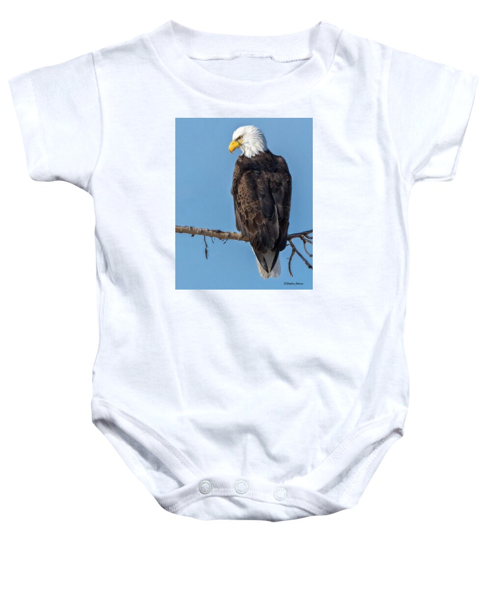 Bald Eagle Baby Onesie featuring the photograph Adult Bald Eagle on Branch by Stephen Johnson