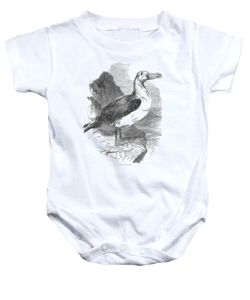 19th Century Baby Onesie featuring the photograph Albatross by Granger