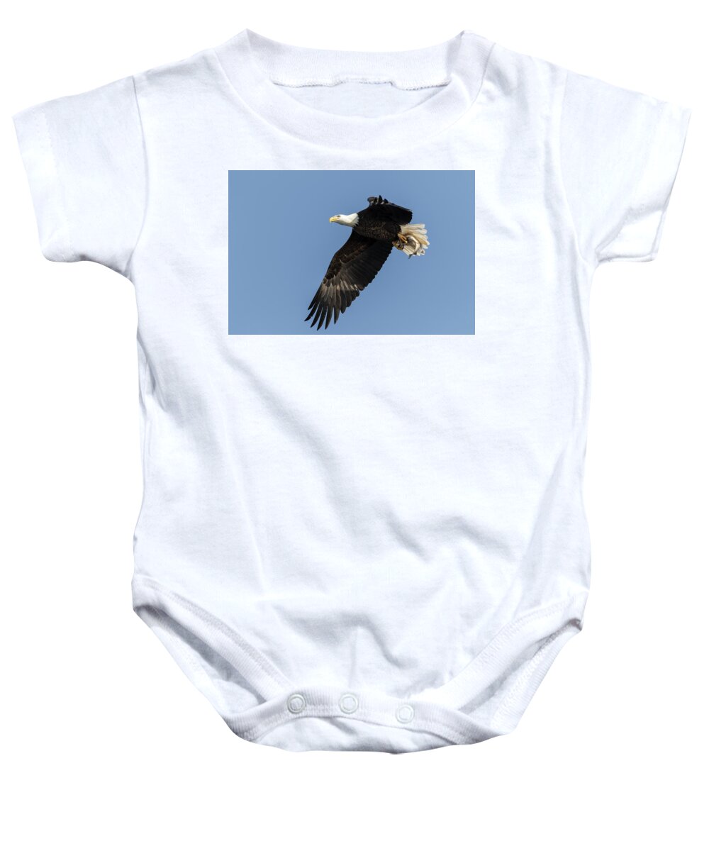 American Bald Eagle Baby Onesie featuring the photograph American Bald Eagle 2017-4 by Thomas Young