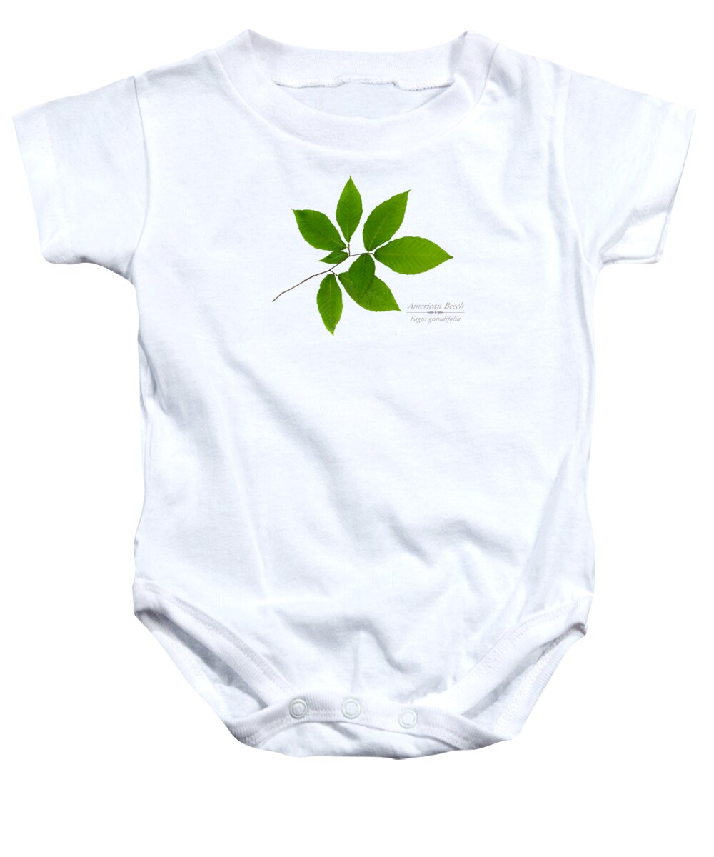 Leaves Baby Onesie featuring the mixed media American Beech by Christina Rollo
