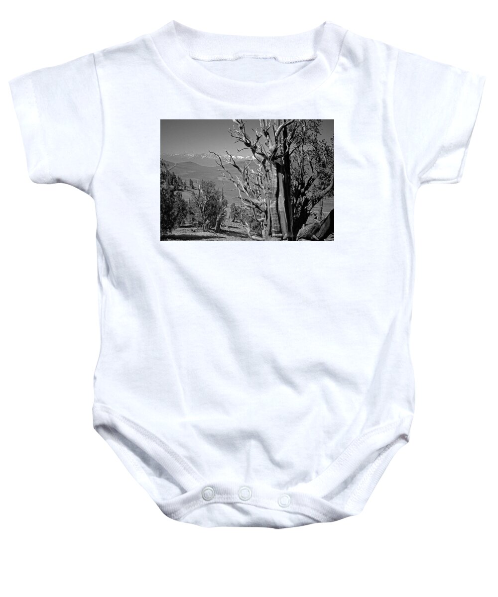 Bristlecone Pine Baby Onesie featuring the photograph Ancient Bristlecone Pine Tree, Composition 4, Inyo National Forest, White Mountains, California by Kathy Anselmo