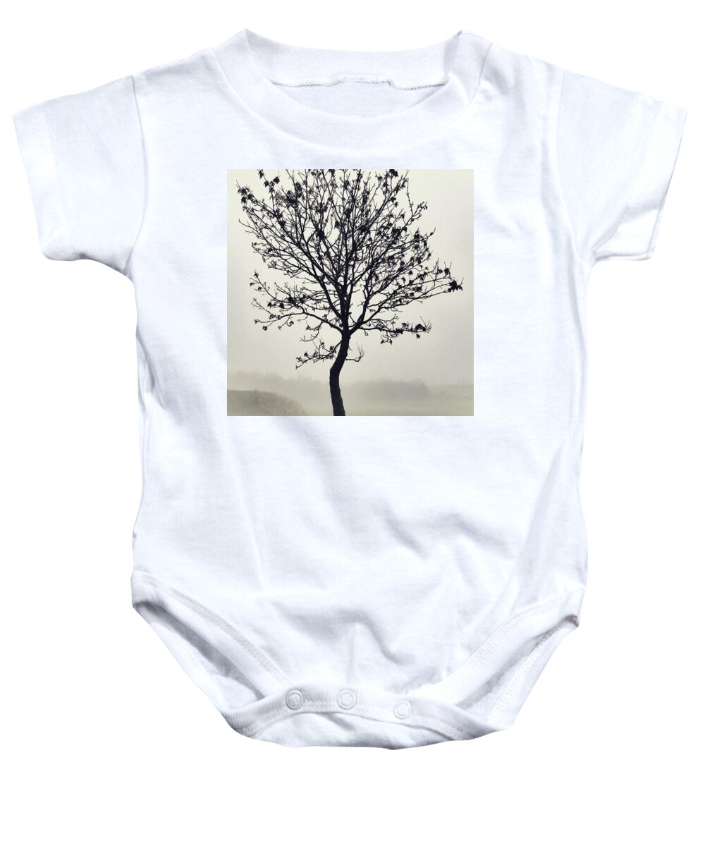 Tree Baby Onesie featuring the photograph Another Walk Through The by John Edwards