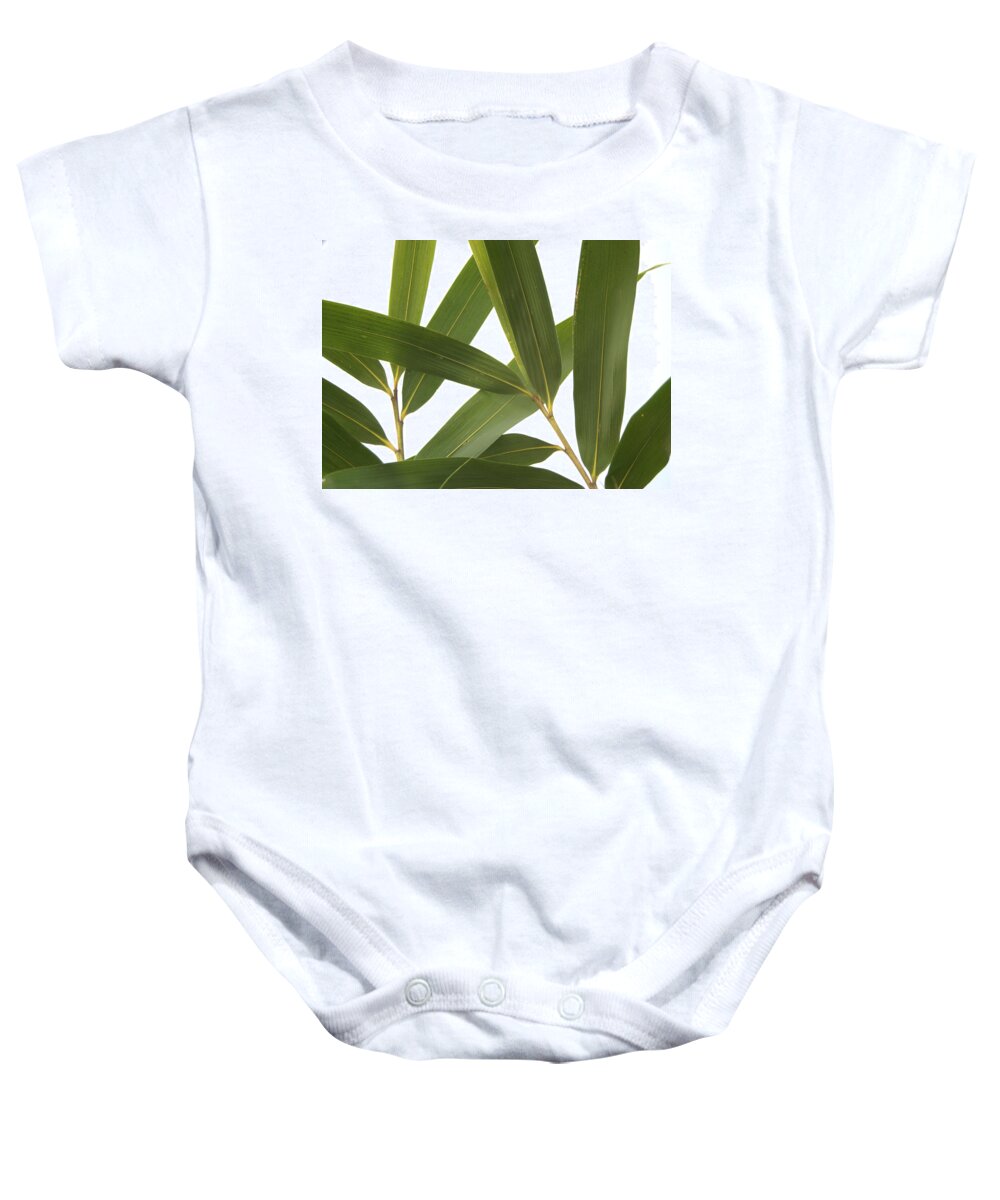 Asian Baby Onesie featuring the photograph Arrow Bamboo Foliage Pseudosasa japonica by Nathan Abbott