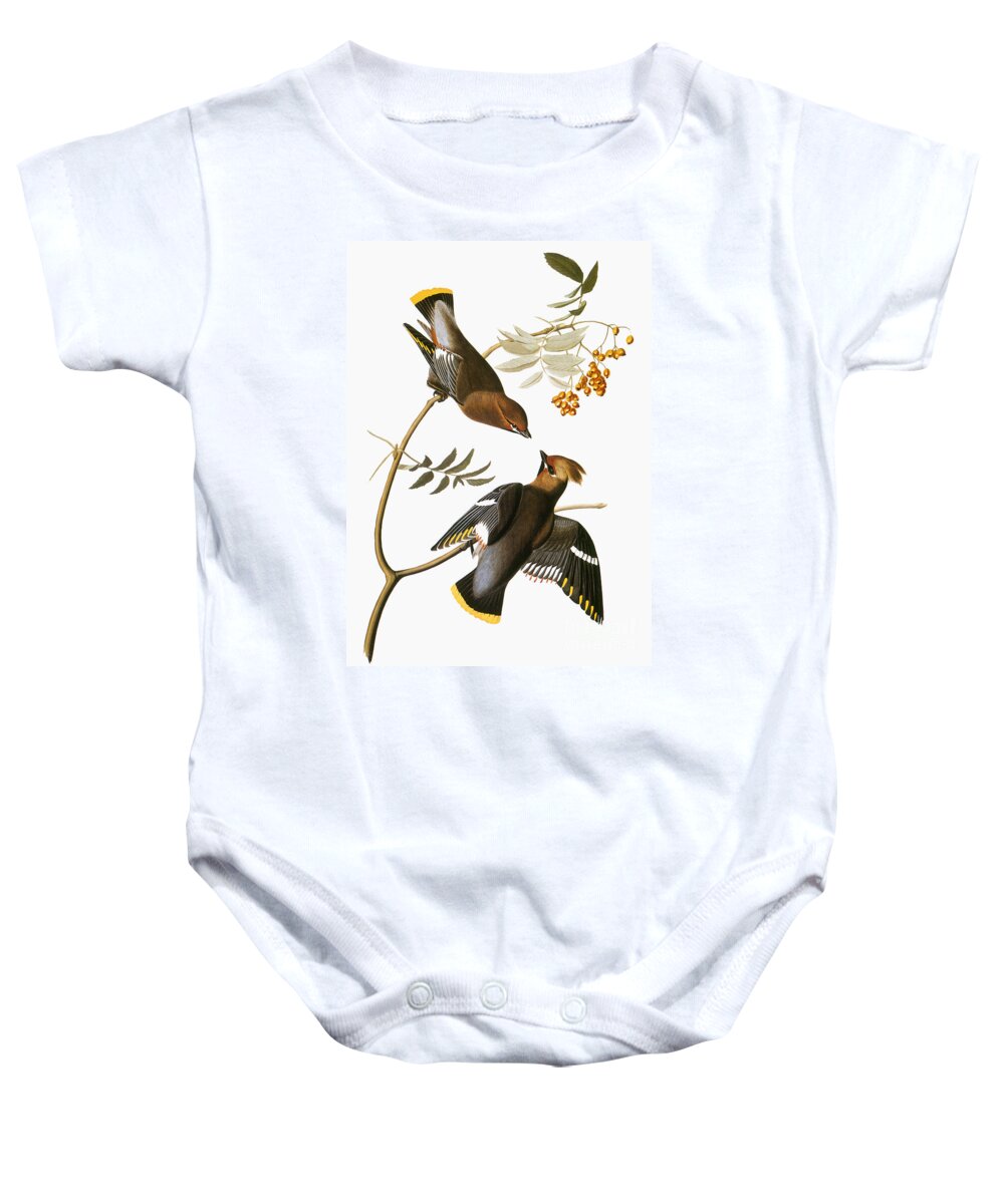 1838 Baby Onesie featuring the photograph Audubon: Waxwing by Granger