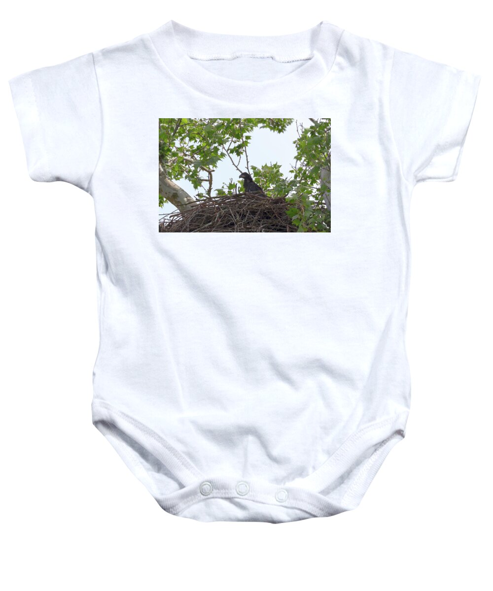 Eaglet Baby Onesie featuring the photograph Bald Eagle Eaglet by Susan Rissi Tregoning