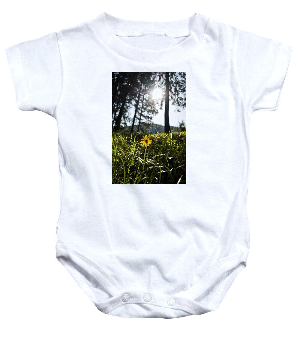 Flower Baby Onesie featuring the photograph Balsamroot by Jedediah Hohf