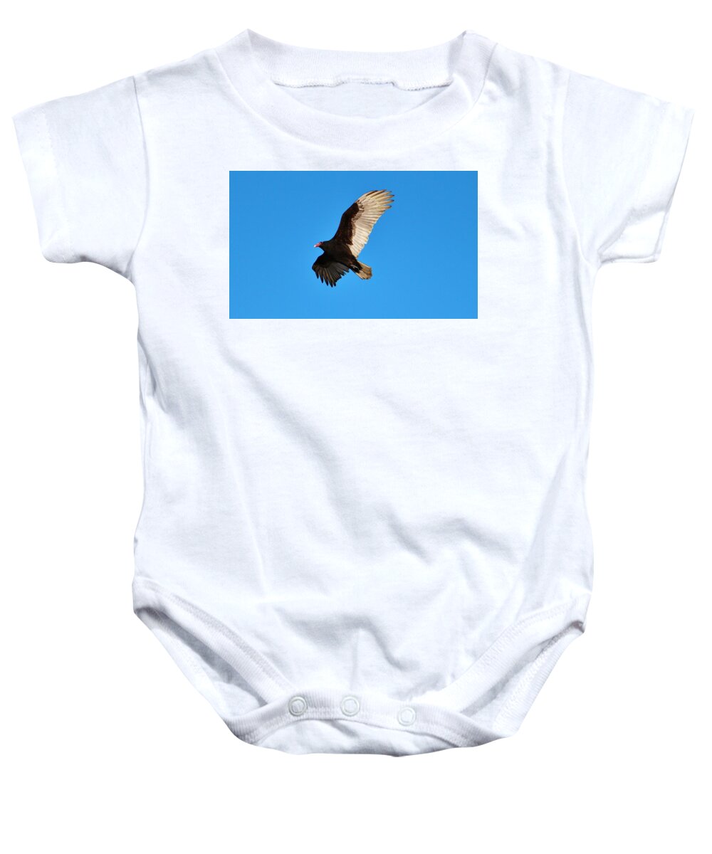 Turkey Vulture Baby Onesie featuring the photograph Beautiful Wings by Cynthia Guinn