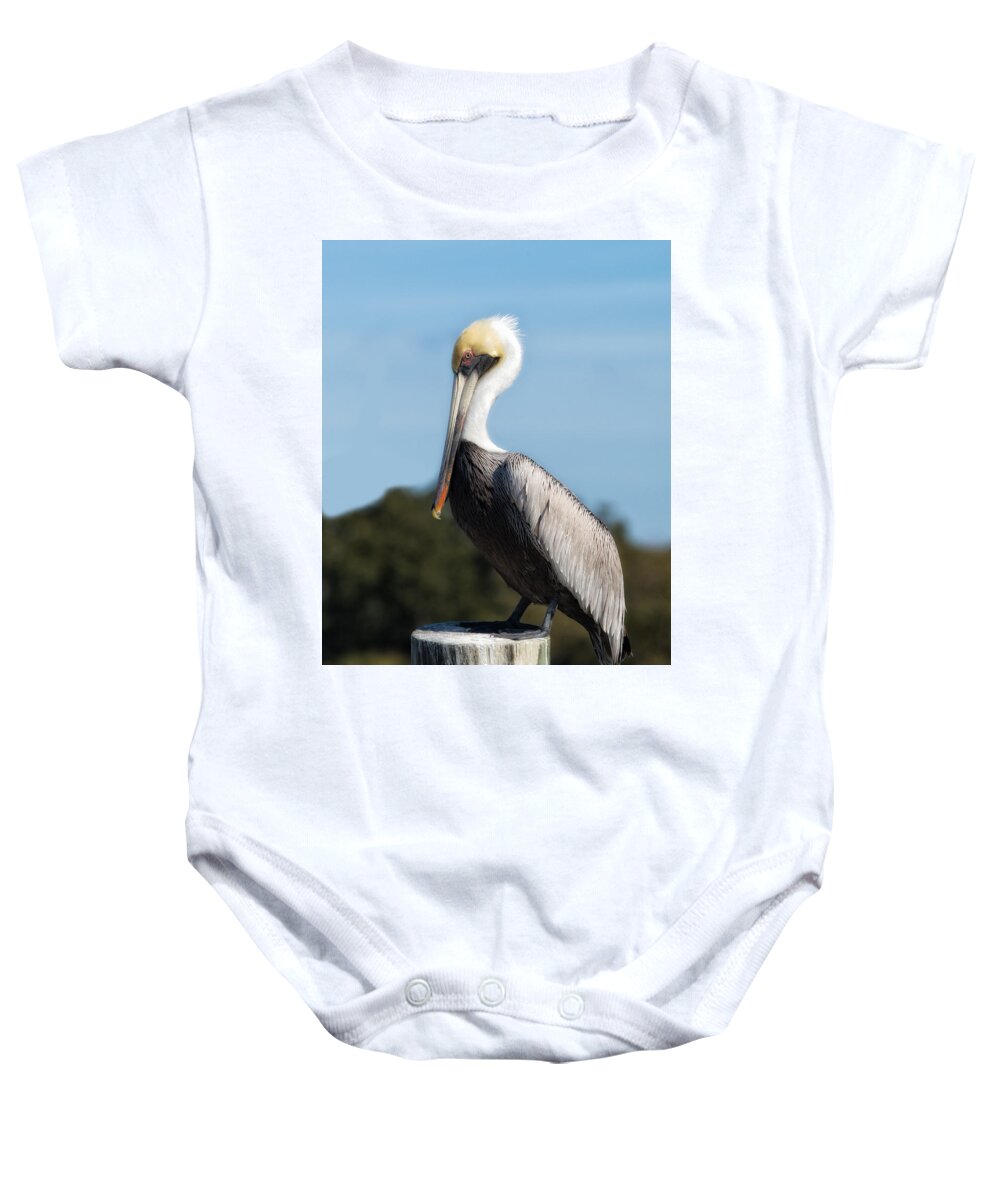 Pelican Baby Onesie featuring the photograph Biloxi Pelican by Don Schiffner