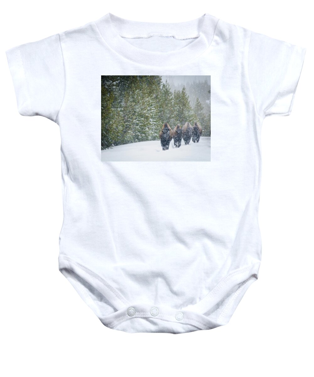 Bison Baby Onesie featuring the photograph Bison in Yellowstone by Roberta Kayne