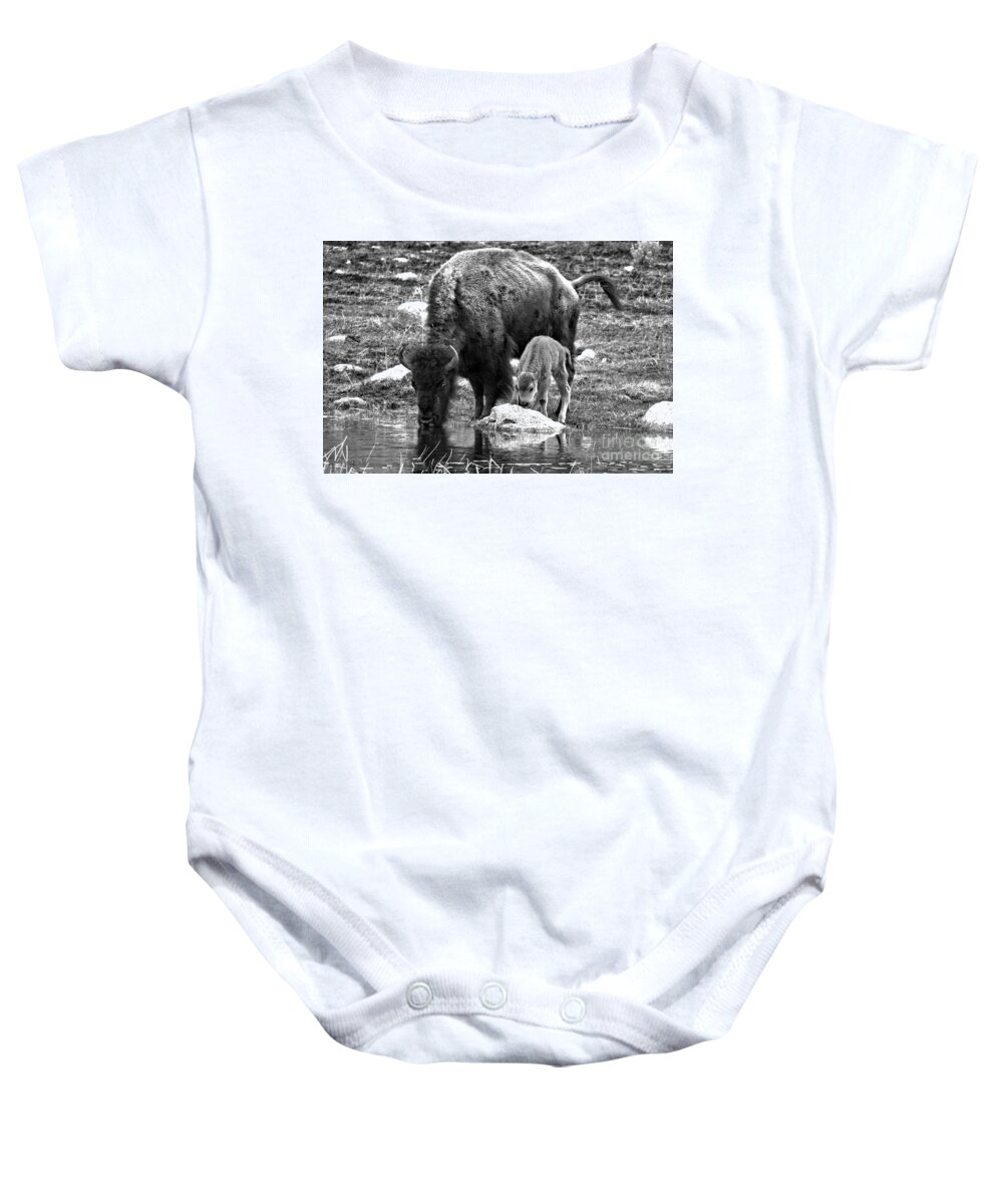 Bison Baby Onesie featuring the photograph Bison Red Dog With Mom Black And White by Adam Jewell