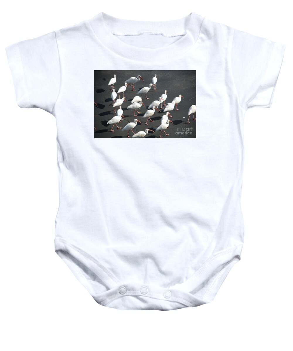 Birds Baby Onesie featuring the photograph Black and White by Jim Goodman