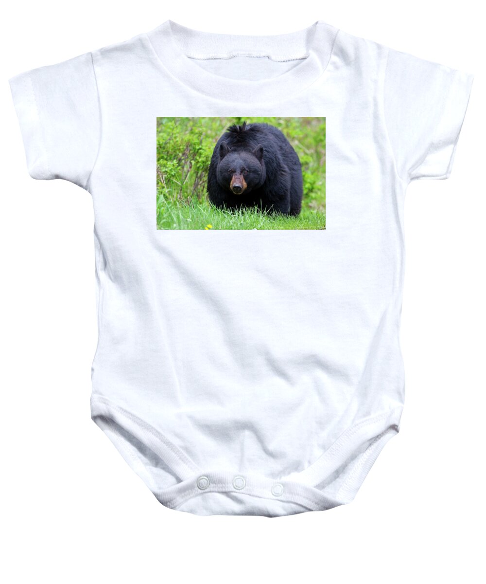 Bear Baby Onesie featuring the photograph Black Bear Face to Face by Mark Miller