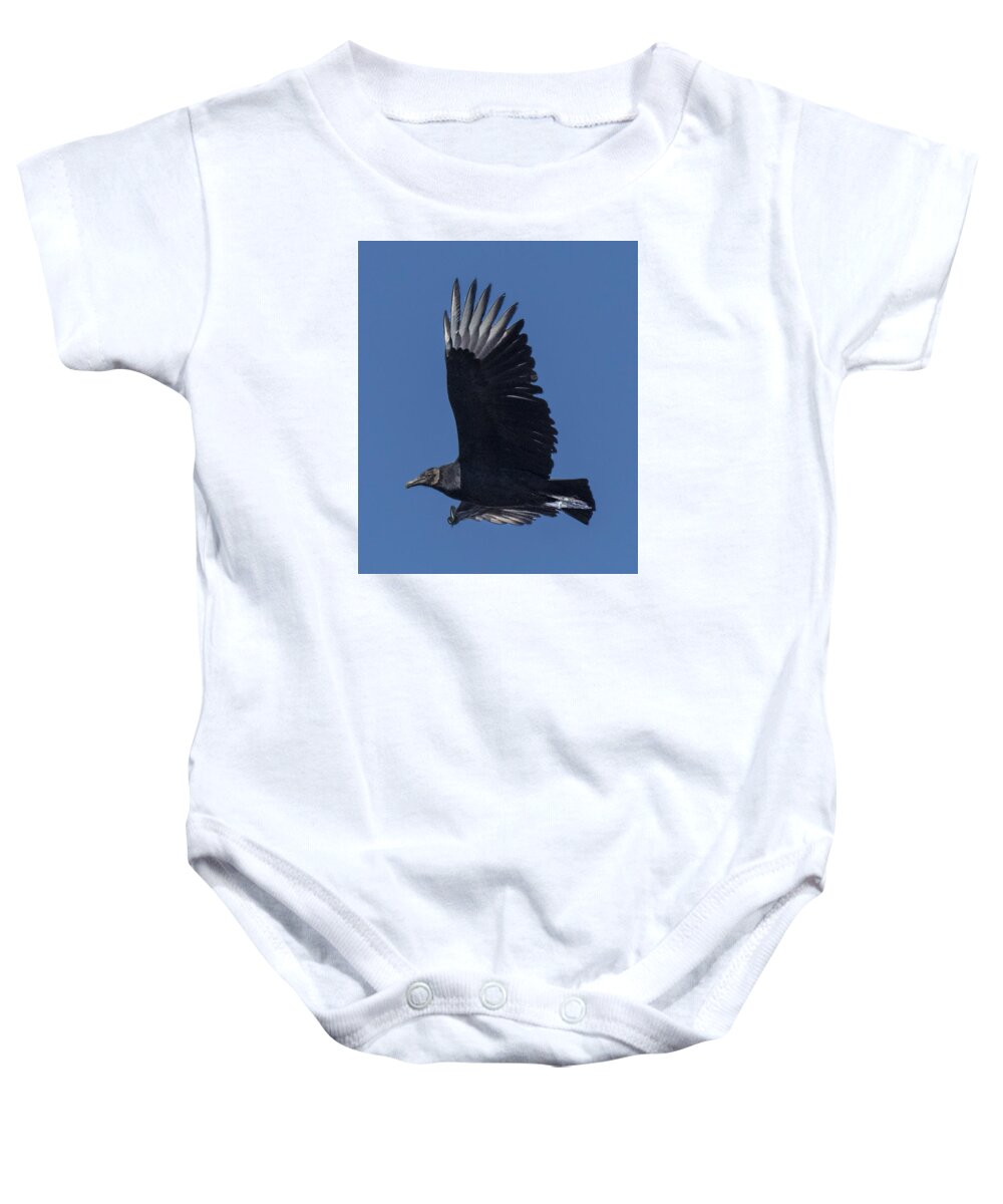 Vulture Baby Onesie featuring the photograph Black Vulture Flying Profile by William Bitman