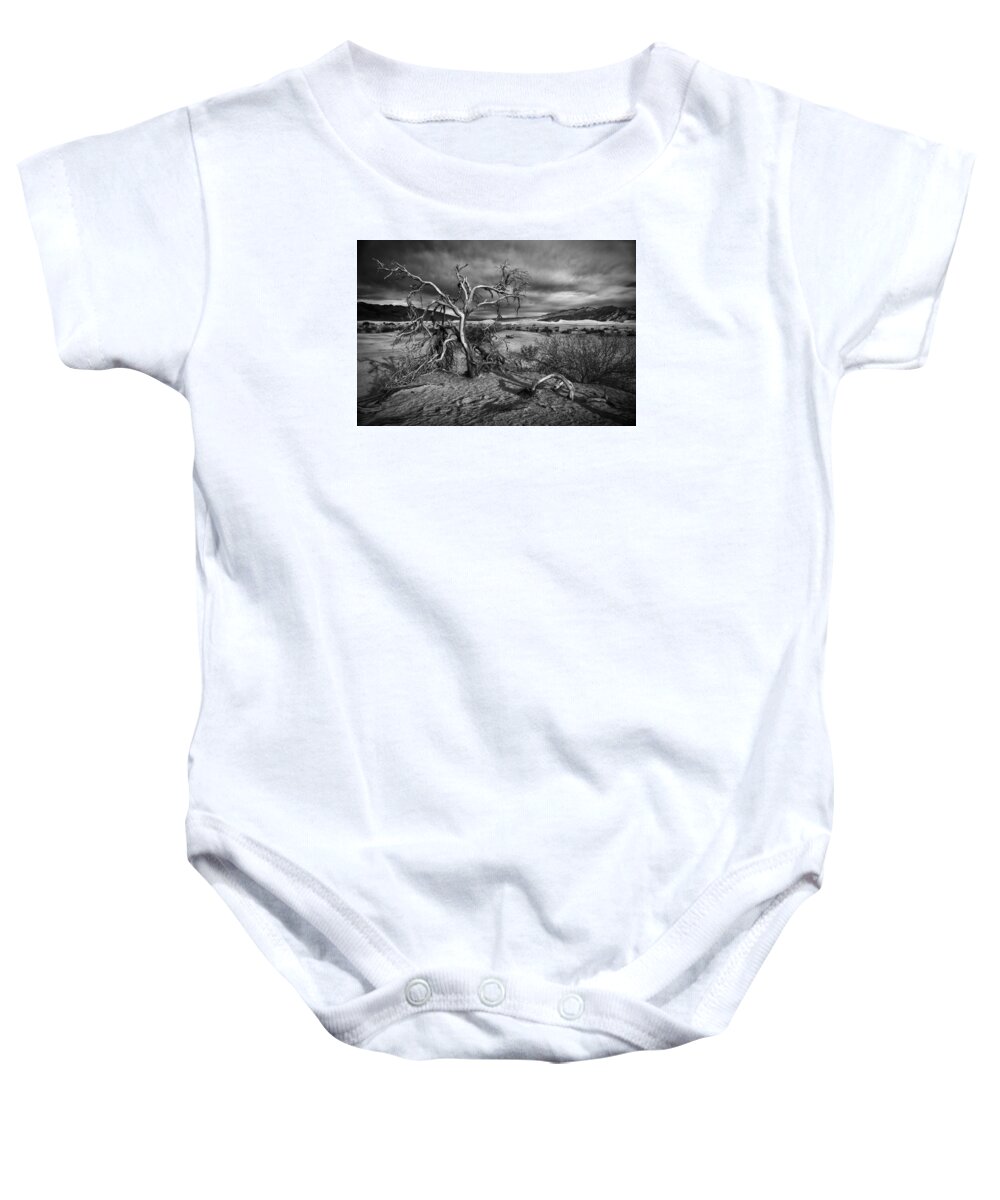 Crystal Yingling Baby Onesie featuring the photograph Bleached Bones by Ghostwinds Photography