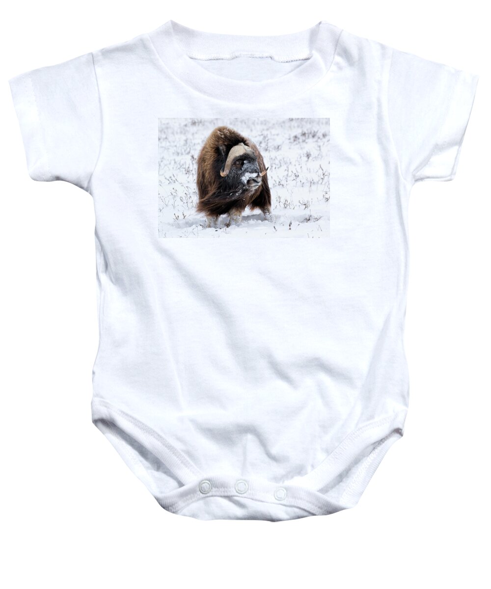 Usa Baby Onesie featuring the photograph Blowing in the Wind by Cheryl Strahl