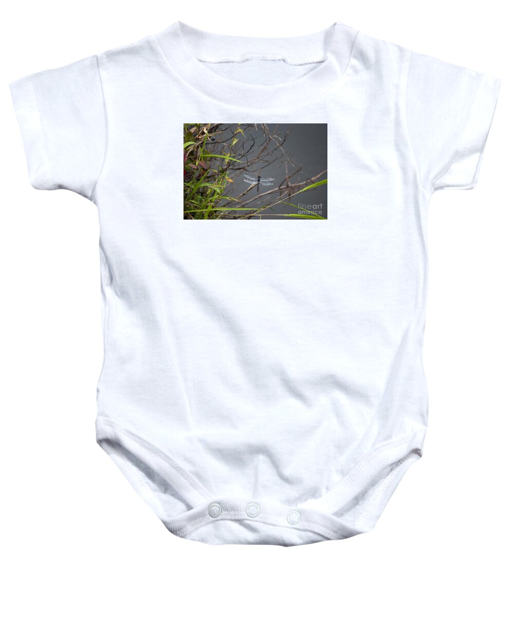 Blue Dasher Baby Onesie featuring the photograph Blue Dasher Dragonfly 20130829_82 by Tina Hopkins