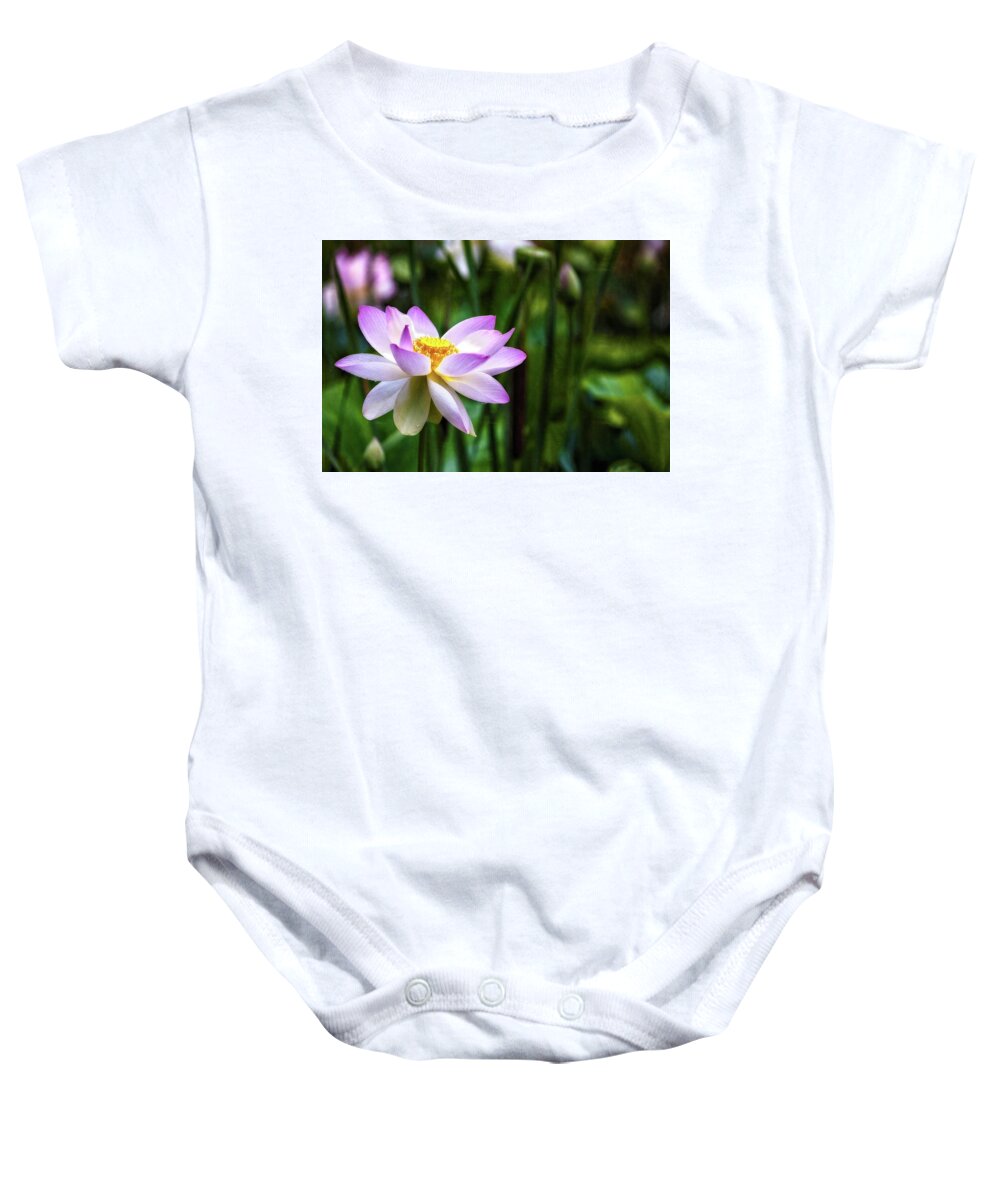 Lotus Baby Onesie featuring the photograph Born Of The Water by Edward Kreis