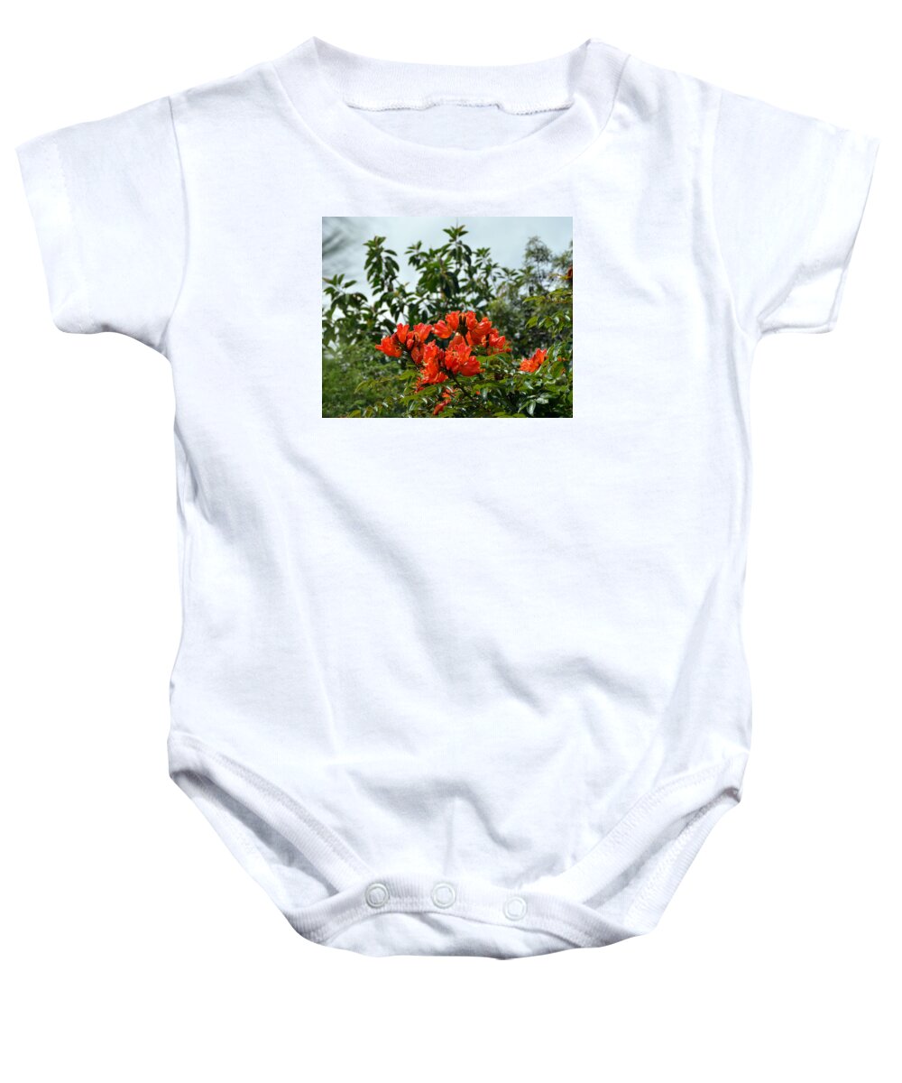Orange Baby Onesie featuring the photograph Bright Orange Honduran Flowering Tree by Carla Parris