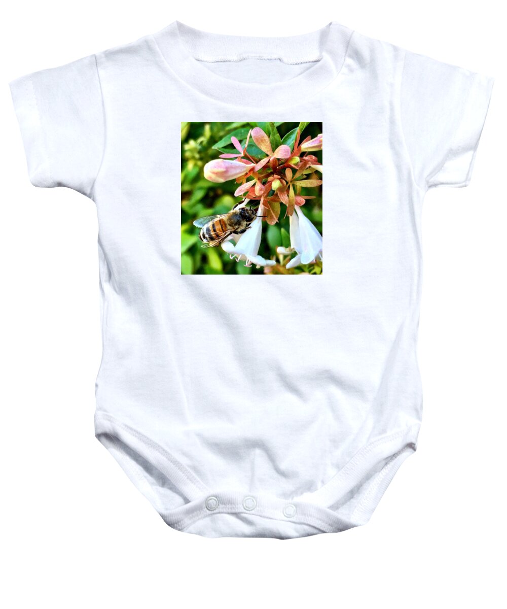 Bee Baby Onesie featuring the photograph Busy As a Bee by Brad Hodges