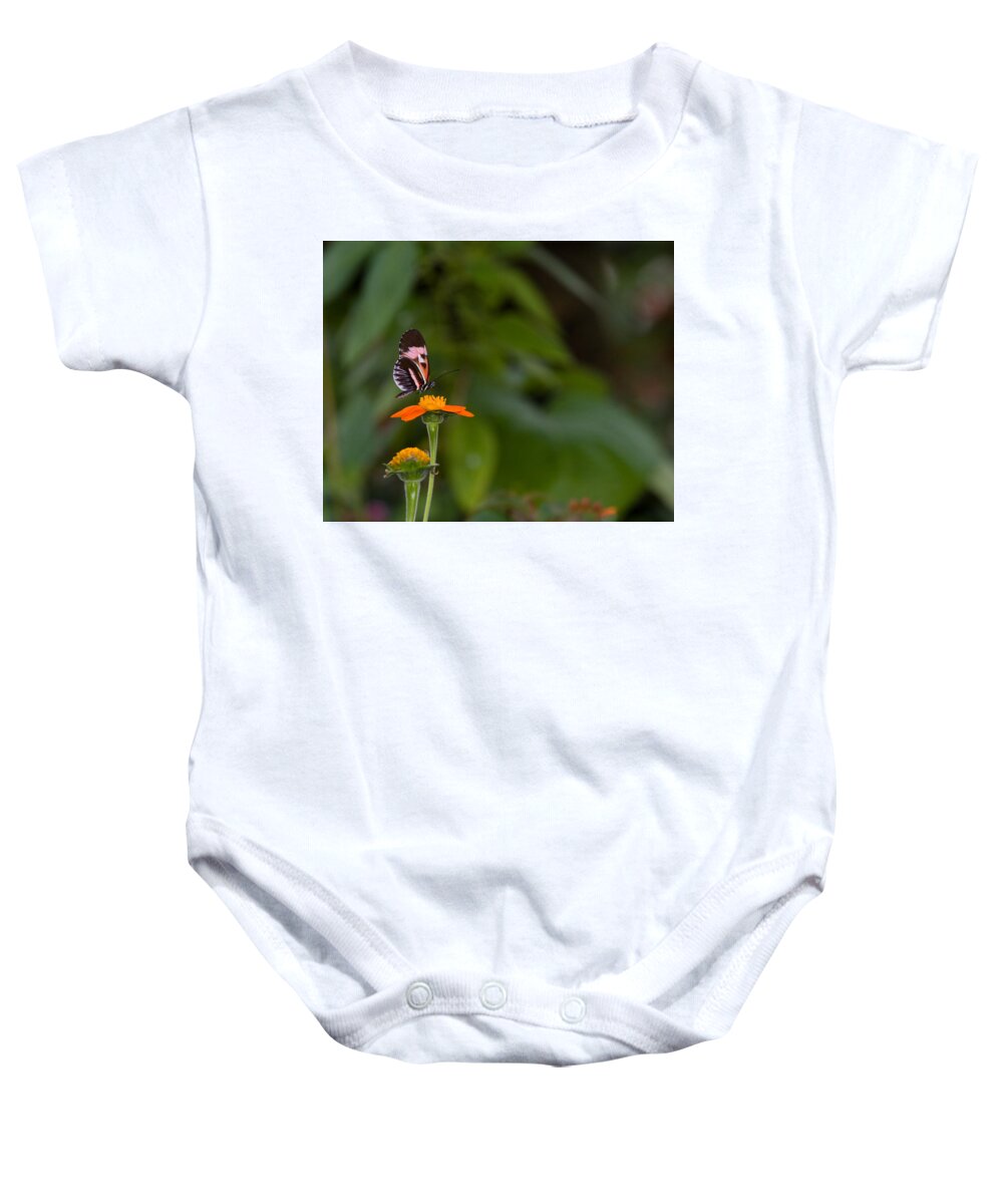 Butterfly Baby Onesie featuring the photograph Butterfly 26 by Michael Fryd