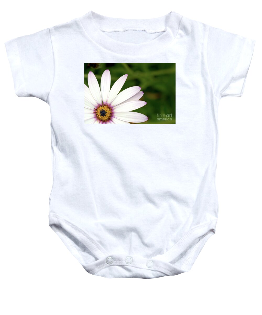 Flower Baby Onesie featuring the photograph Cape Daisy by Baggieoldboy