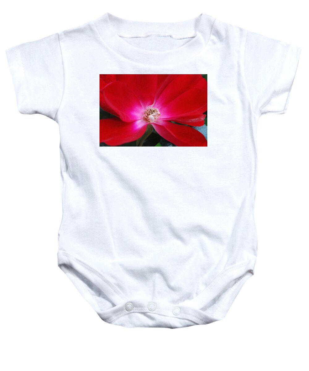 Rose/flower Baby Onesie featuring the photograph Center of the rose 2 by Phil Panton