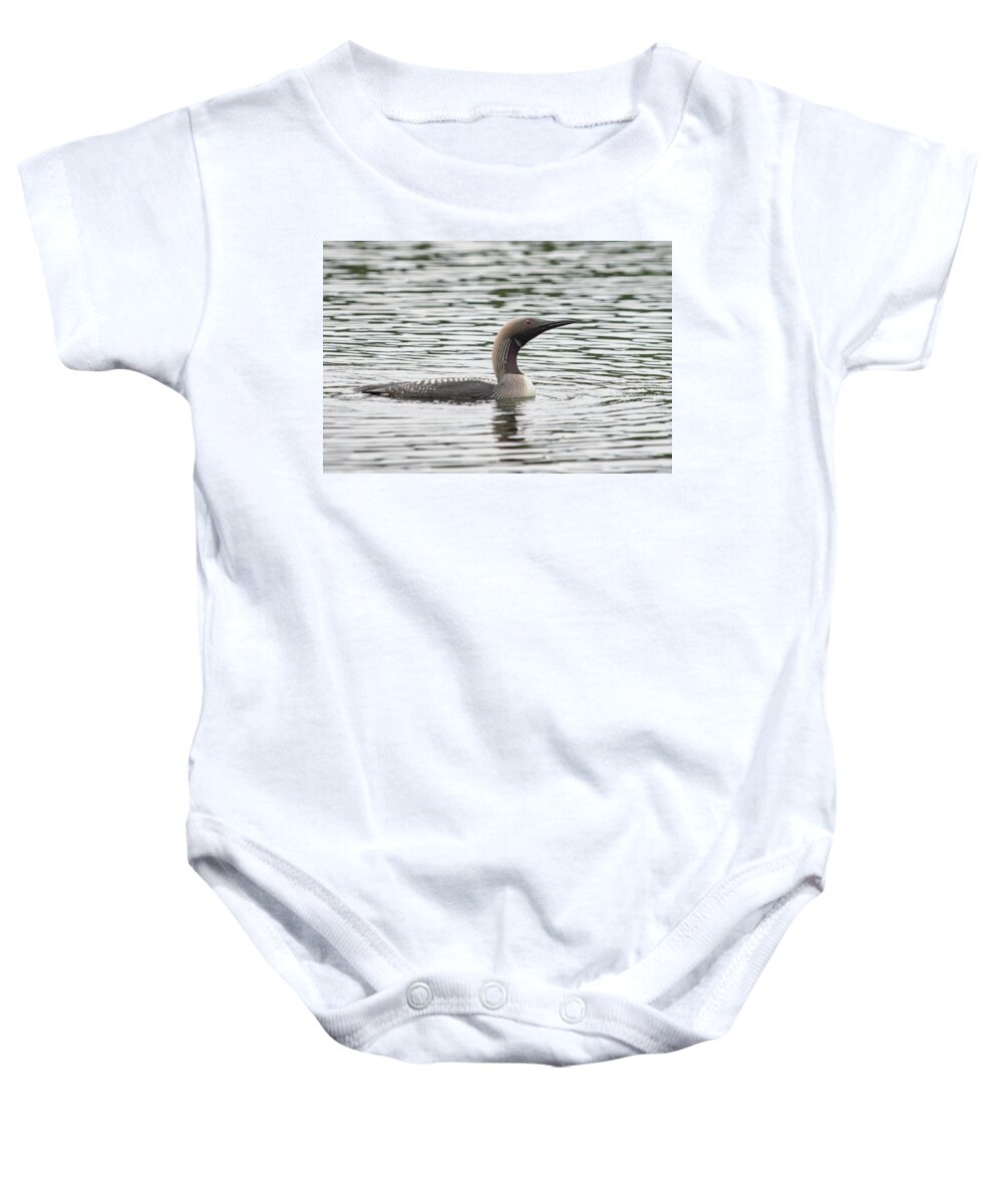 Finland Baby Onesie featuring the photograph Checking the sky. Black-throated loon by Jouko Lehto