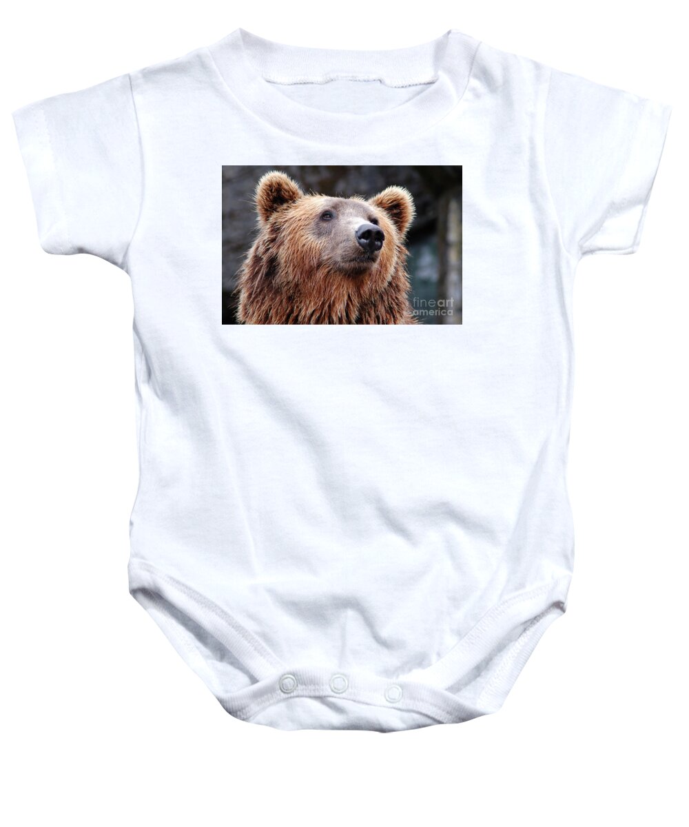 Photography Baby Onesie featuring the photograph Close Up Bear by MGL Meiklejohn Graphics Licensing