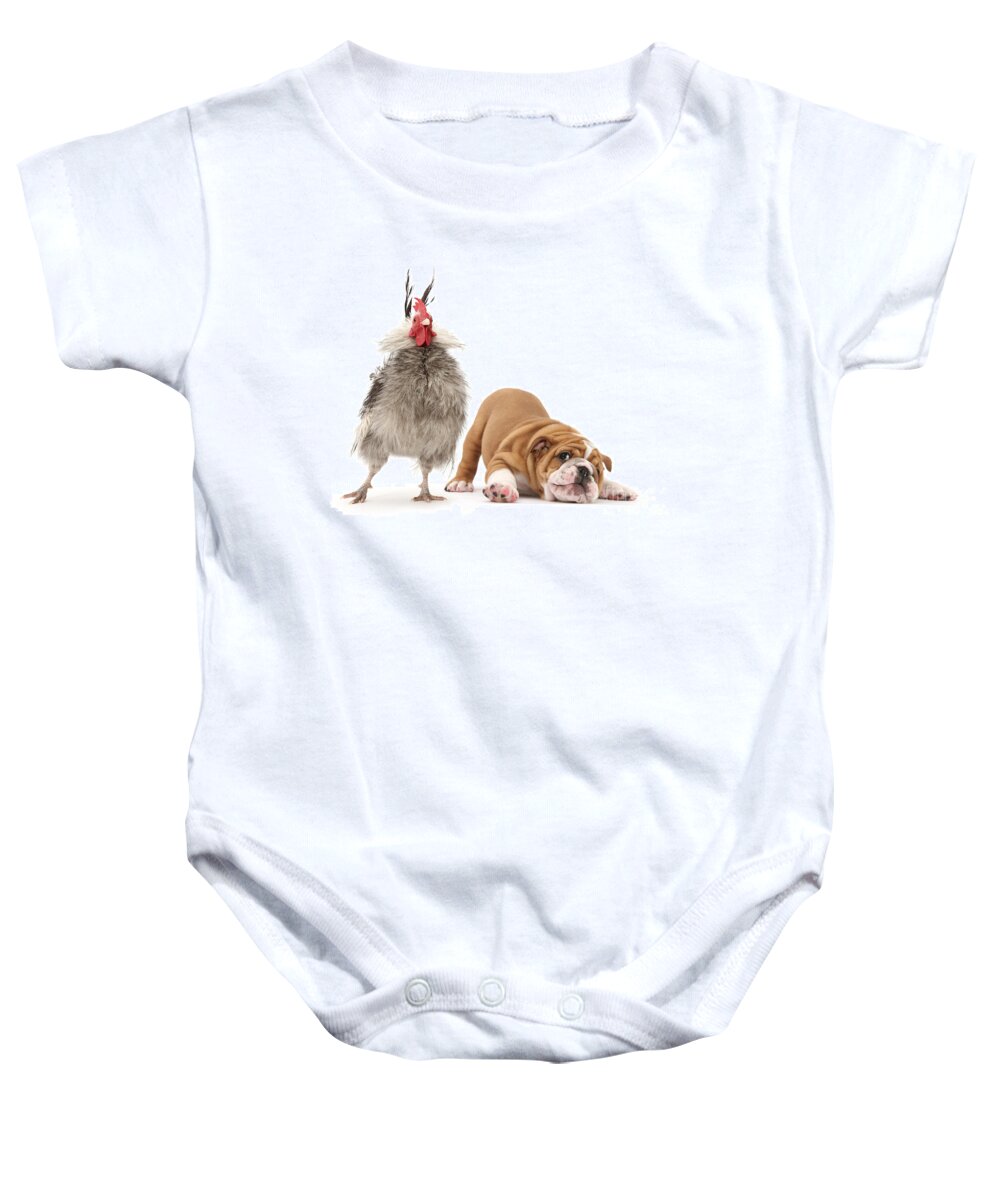 Cute Bulldog Baby Onesie featuring the photograph Cock n Bull by Warren Photographic