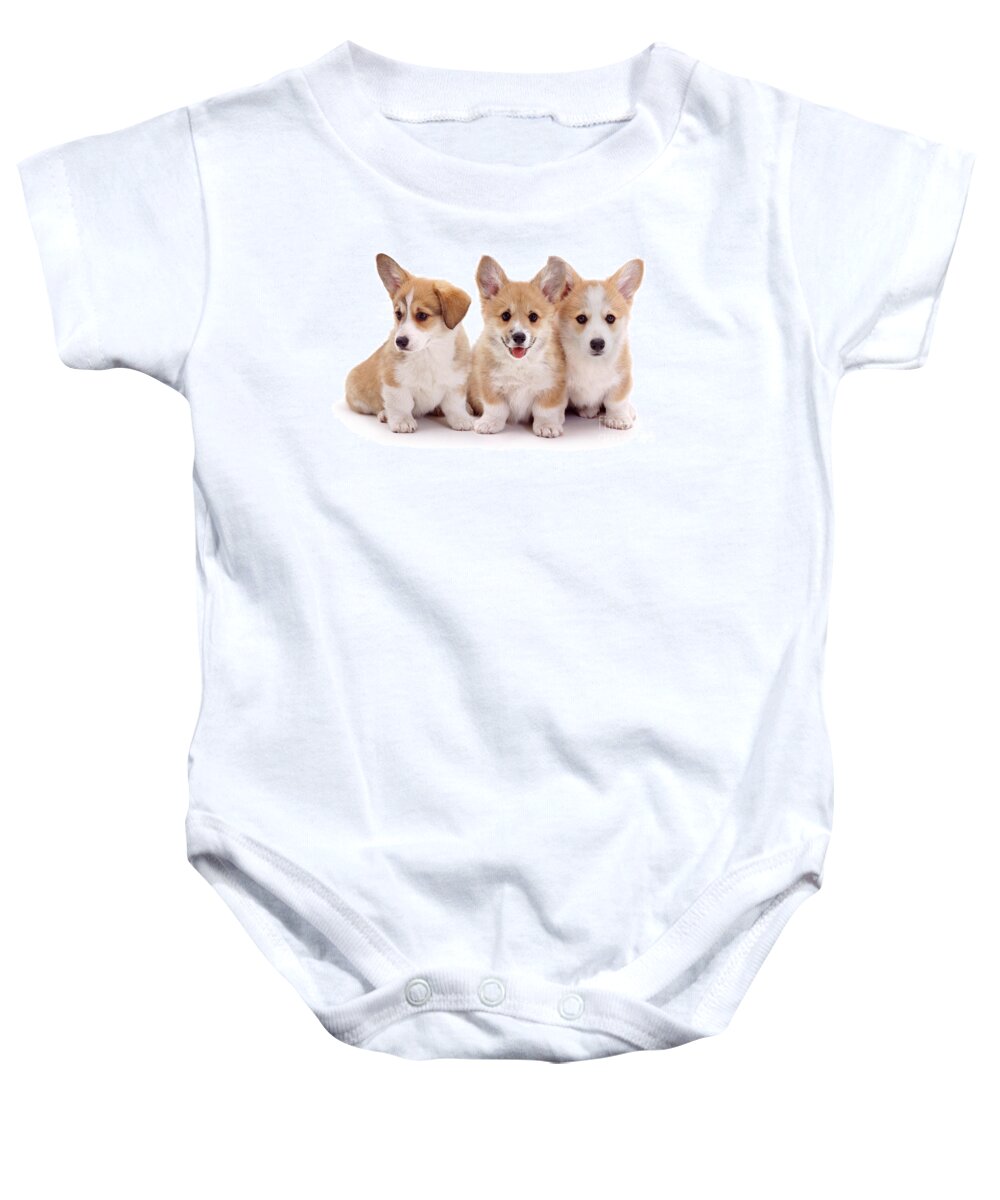 Pembrokeshire Welsh Corgi Baby Onesie featuring the photograph Corgi Trio by Warren Photographic