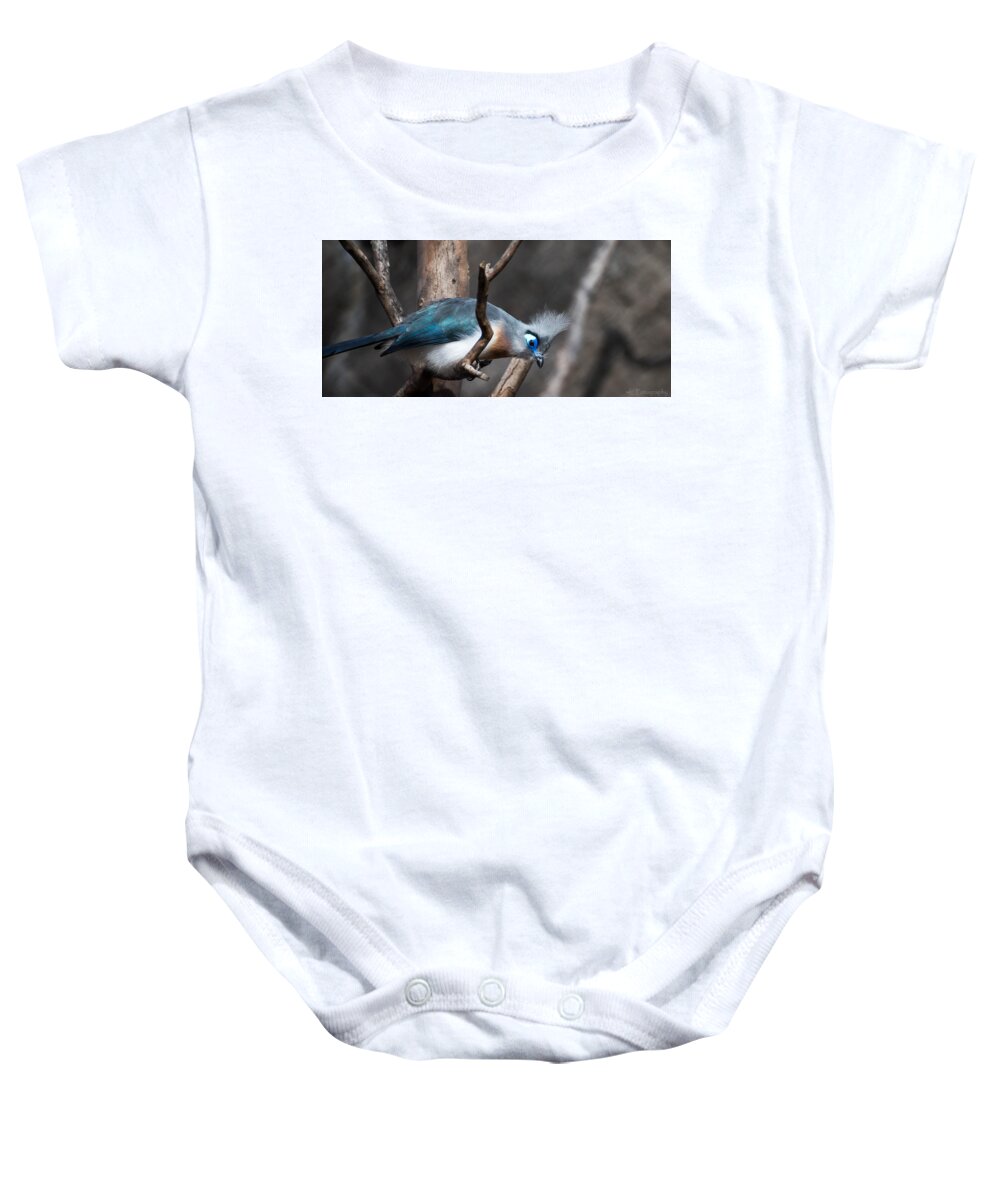 Birds Baby Onesie featuring the photograph Crested Coua by Wendy Carrington