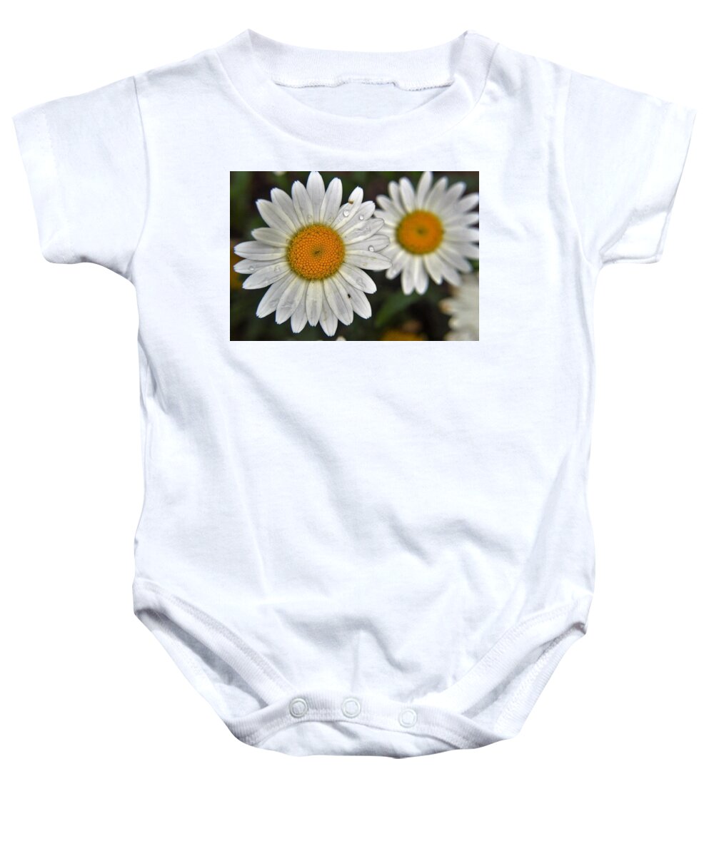 Flowers Baby Onesie featuring the photograph Daisy Dew by Charles HALL