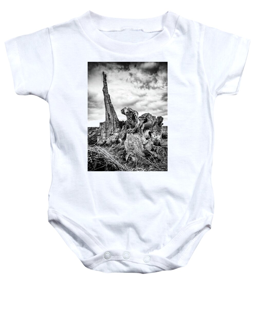 Tree Baby Onesie featuring the photograph Defiance by Nick Bywater