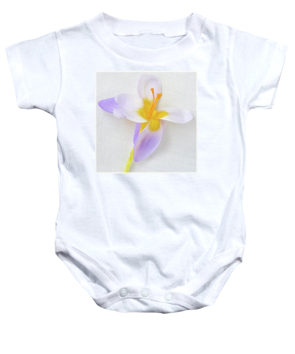 Crocus Baby Onesie featuring the photograph Delicate Art Of Crocus by Terence Davis