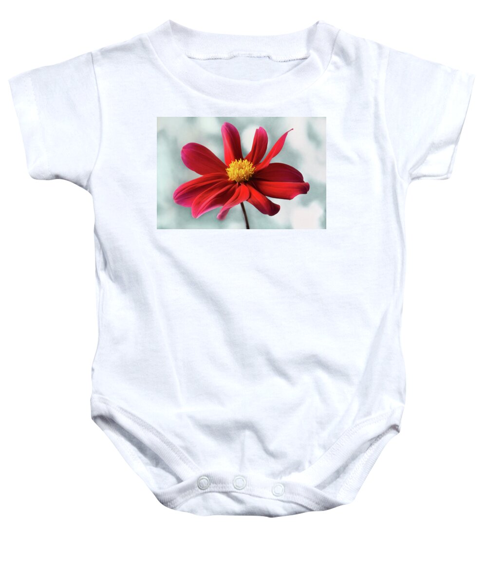 Dahlia Baby Onesie featuring the photograph Delightful Dahlia by Terence Davis