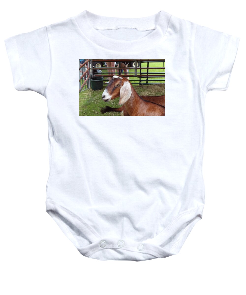 Goat Baby Onesie featuring the photograph Did You Need Something by Carolyn Ricks