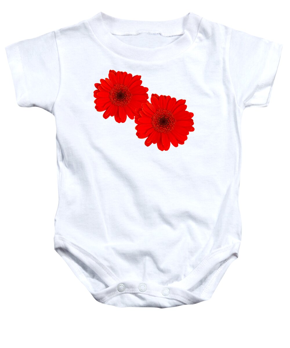Red Gerbera Daisy Baby Onesie featuring the photograph Double Gerbera by Scott Carruthers