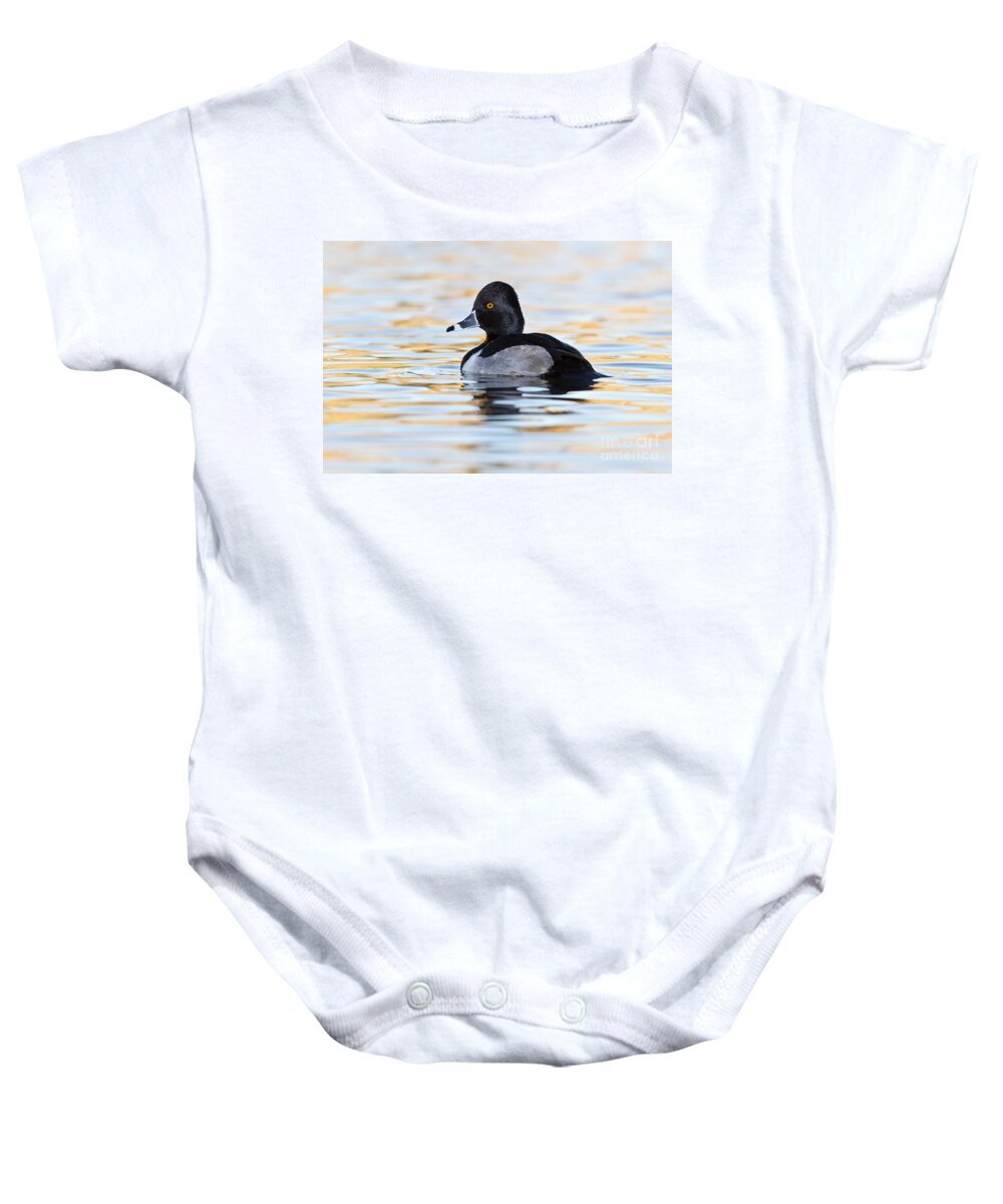 Ring-neck Baby Onesie featuring the photograph Early morning Ringneck by Bryan Keil