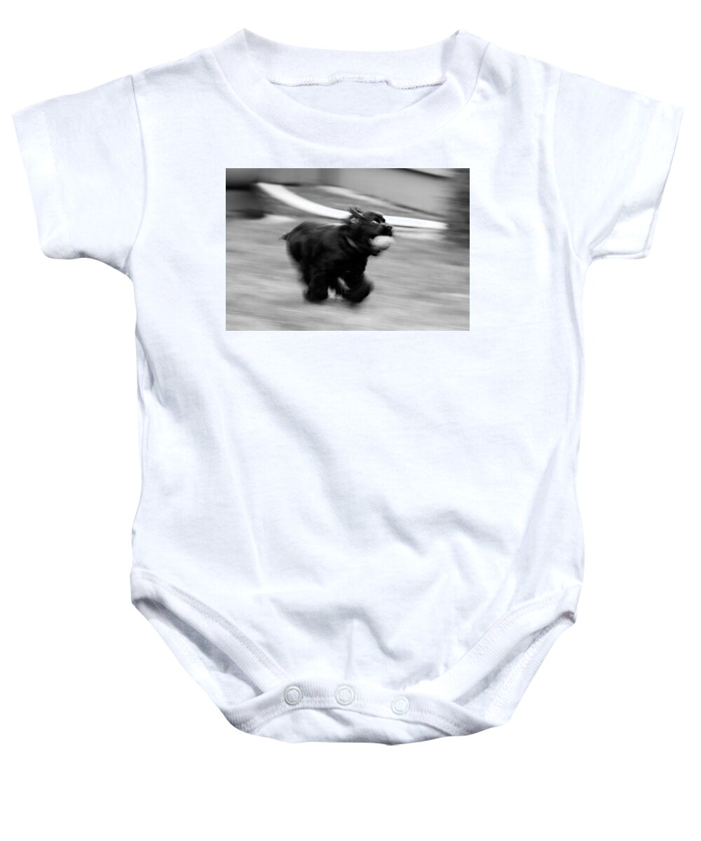 Dog Baby Onesie featuring the photograph Fast Dog by David Stasiak