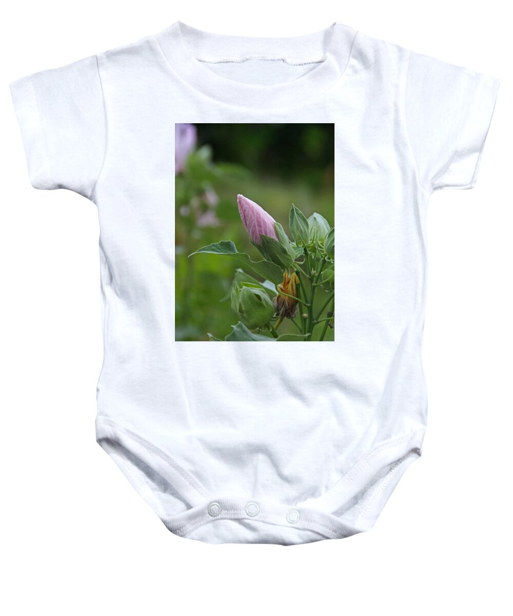 Pink Baby Onesie featuring the photograph Feels Like Home by Michiale Schneider