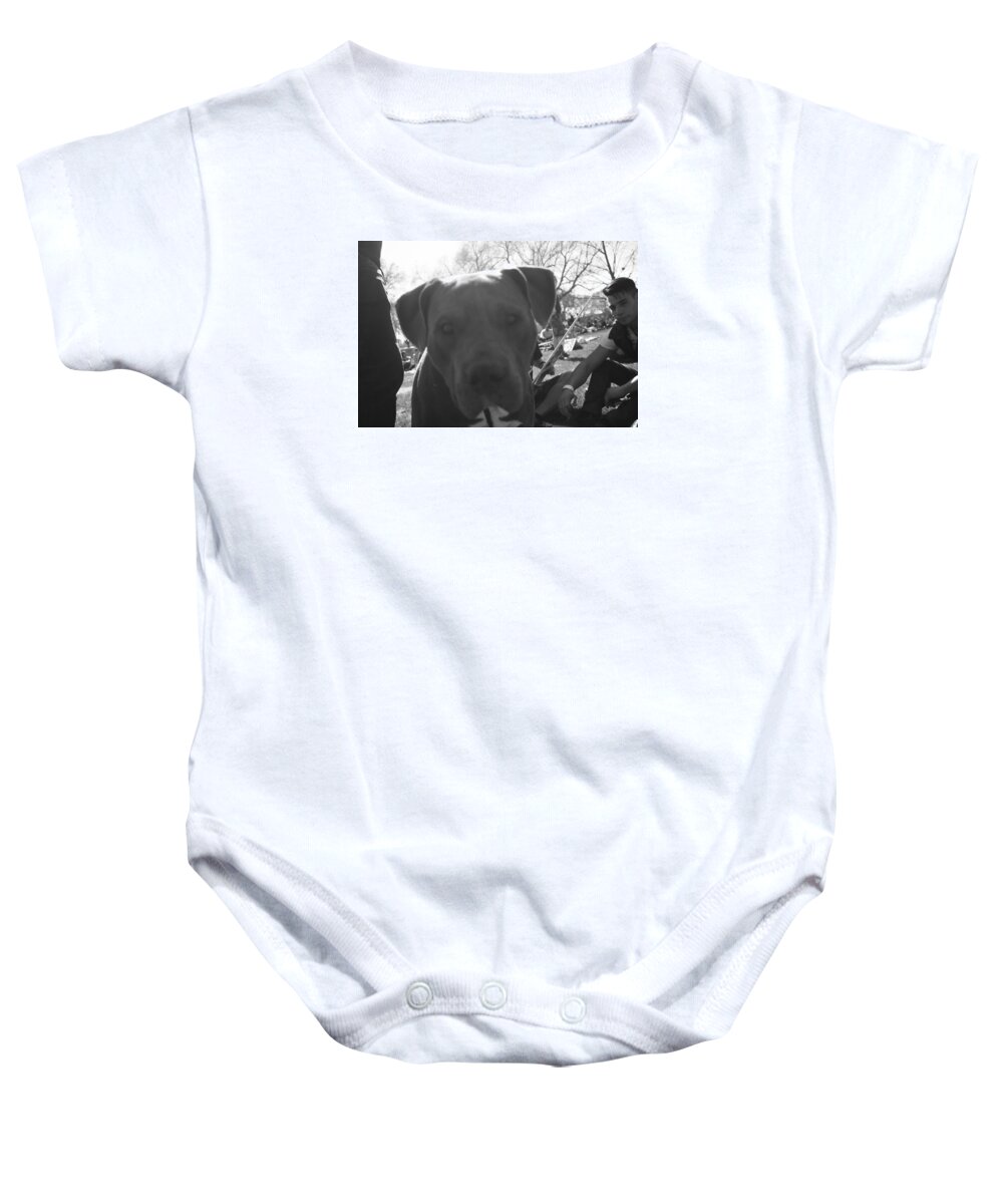 Dog Baby Onesie featuring the photograph Felix by J C
