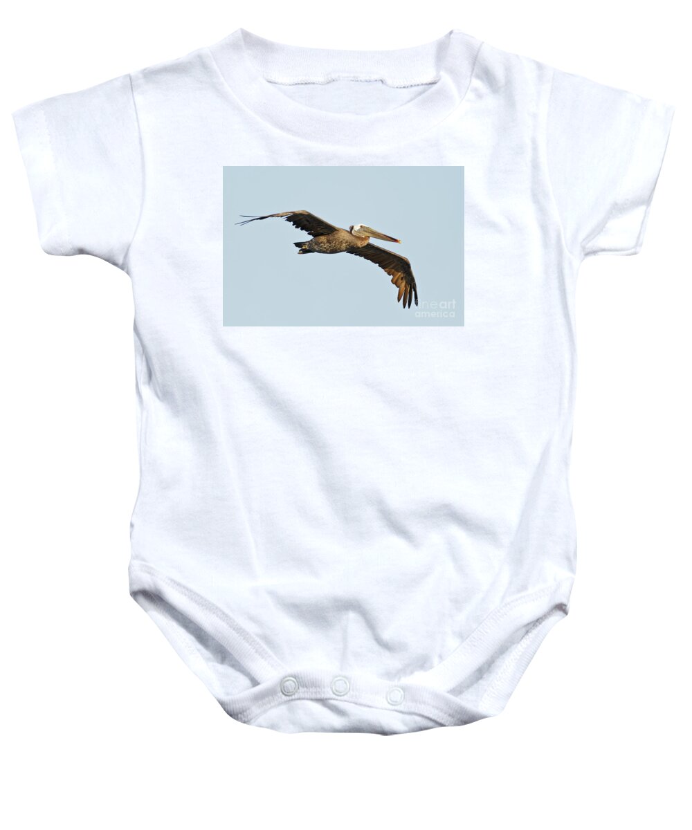 Brown Pelican Baby Onesie featuring the photograph Flight of the Pelican by Natural Focal Point Photography