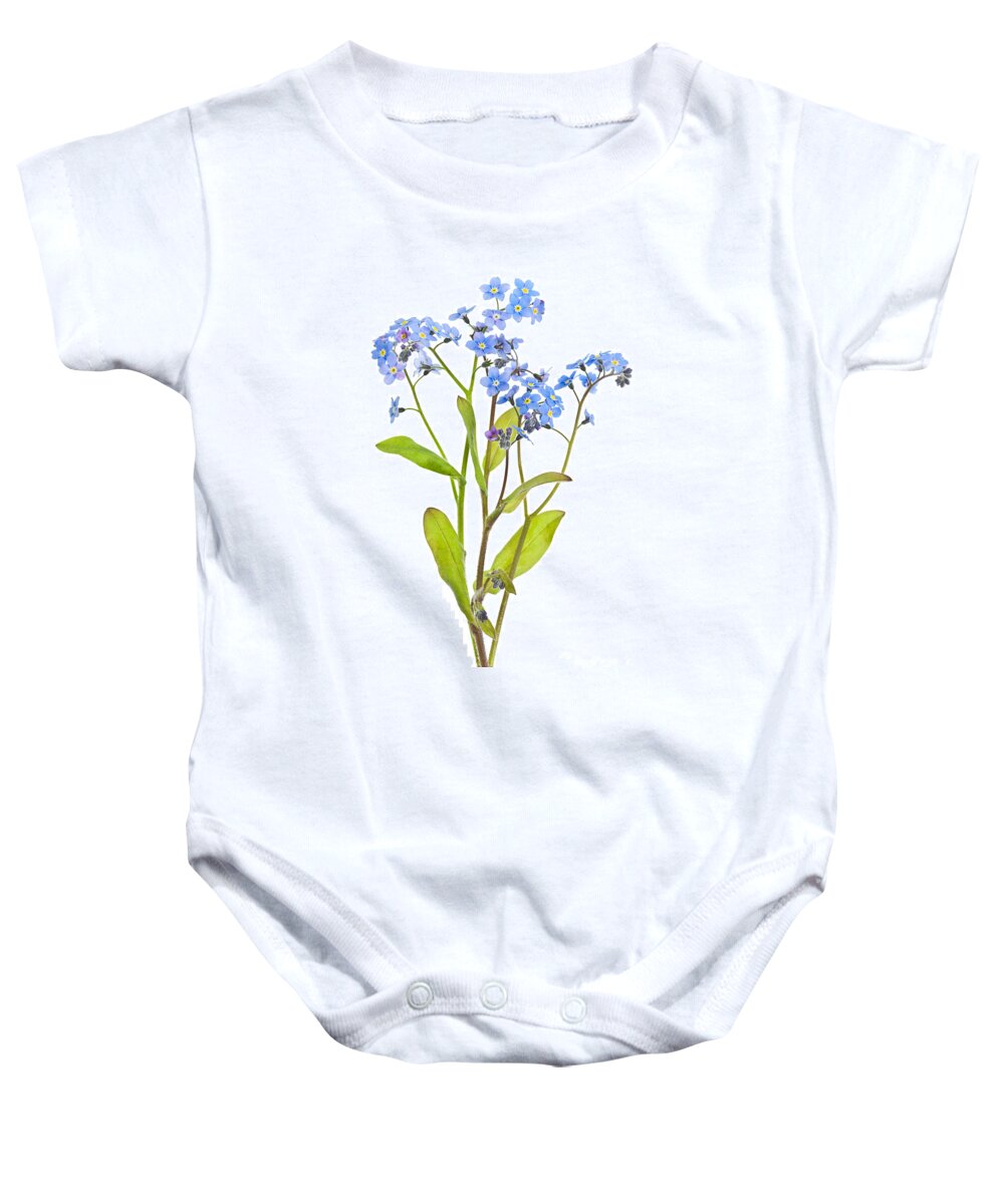 Forget-me-nots Baby Onesie featuring the photograph Forget-me-not flowers on white by Elena Elisseeva