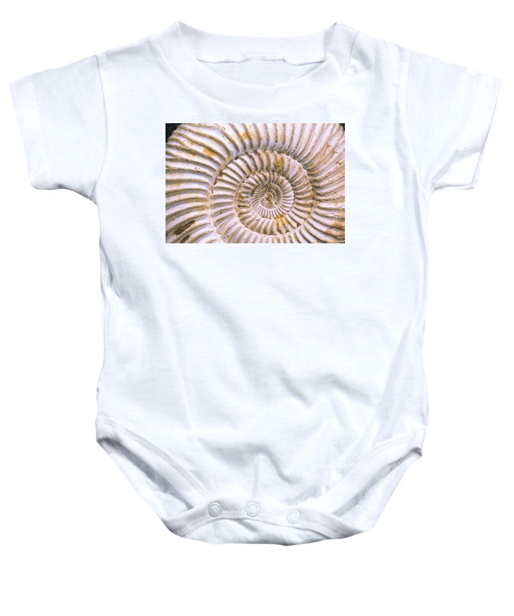 Mp Baby Onesie featuring the photograph Fossil Of Ammonite, Madagascar by Pete Oxford